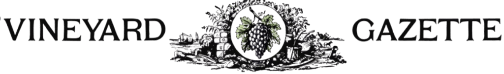 vg-masthead-logo-sprite-png-934_476--08-22-2025_08_09_PM-removebg-preview